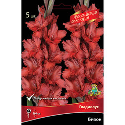 ����  ��������� �����, ������ �� 637 ���