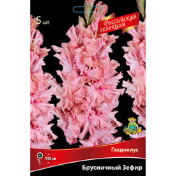 ����  ��������� ���������� �����, ������ �� 782 ���