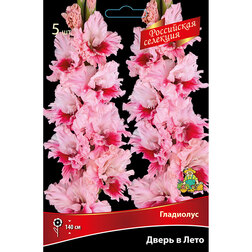 ����  ��������� ����� � ����, ������ �� 637 ���