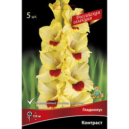 ����  ��������� ��������, ������ �� 637 ���