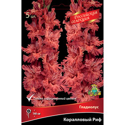 ����  ��������� ���������� ��� 12, ������ �� 637 ���