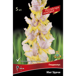 ����  ��������� ��� �����, ������ �� 637 ���