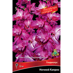 ����  ��������� ������ ������, ������ �� 637 ���