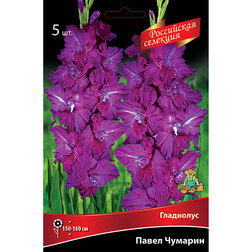 ����  ��������� ����� �������, ������ �� 637 ���