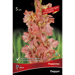 ����  ��������� ������, ������ �� 782 ���