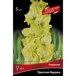 ����  ��������� ������� ������, ������ �� 688 ���