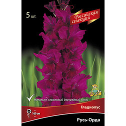 ����  ��������� ����-����, ������ �� 637 ���