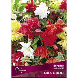 ����  ������� ��������� ����� �������, ������ �� 527 ���