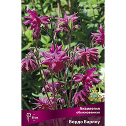 ����  ��������� ������������ ����� ������, ������ �� 209 ���