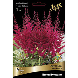 ����  �������� ��������� ���� �������*, ������ �� 464 ���