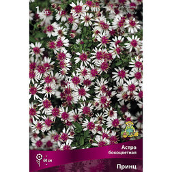 ����  ����� ������������� �����, ������ �� 467 ���