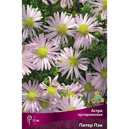 ����  ����� ������������� ����� ���, ������ �� 319 ���