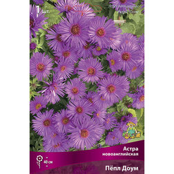 ����  ����� �������������� ϸ�� ����, ������ �� 421 ���