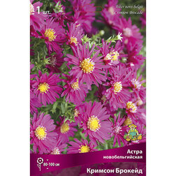 ����  ����� ��������������� ������� �������, ������ �� 319 ���