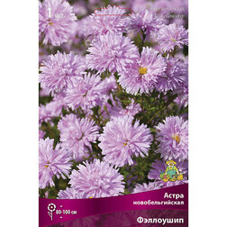 ����  ����� ��������������� ���������, ������ �� 319 ���