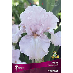 ����  ���� ��������� ������, ������ �� 455 ���