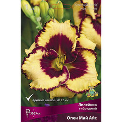 ����  �������� ��������� ���� ��� ���, ������ �� 368 ���