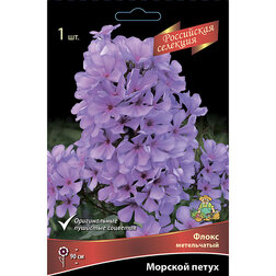 ����  ����� ����������� ������� �����, ������ �� 280 ���