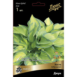 ����  ����� ��������� ����*, ������ �� 527 ���