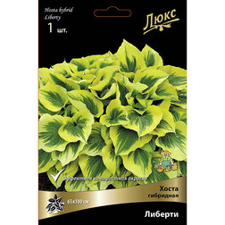 ����  ����� ��������� �������*, ������ �� 552 ���