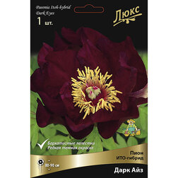 ����  ���� ���-������ ���� ���* 2-3 �����, ������ �� 4675 ���