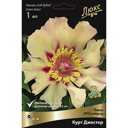 ����  ���� ���-������ ���� �������* 2-3 �����, ������ �� 3655 ���