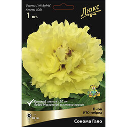 ����  ���� ���-������ ������ ����* 2-3 �����, ������ �� 5270 ���