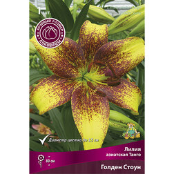 ����  ����� ��������� ����� ������ ����� (1 ��.), ������ �� 263 ���