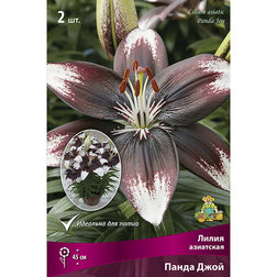 ����  ����� ��������� ����� ���� (2 ��.), ������ �� 299 ���