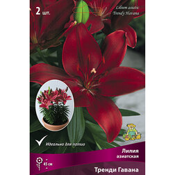 ����  ����� ��������� ������ ������ (2 ��.), ������ �� 299 ���