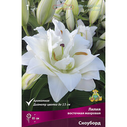 ����  ����� ��������� �������� (1 ��.), ������ �� 319 ���