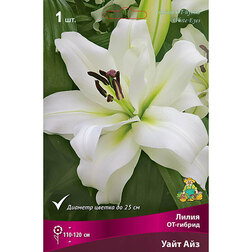 ����  ����� ��-������ ���� ��� (1 ��.), ������ �� 280 ���