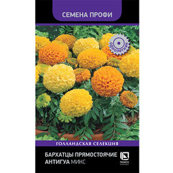 ����  �������� ������������ ������� ���� (������ �����), ������ �� 253 ���