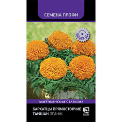 ����  �������� ������������ ������ ����� (������ �����), ������ �� 169 ���