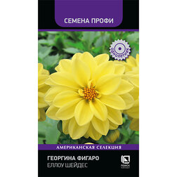 ����  �������� ������ ����� ������ (������ �����), ������ �� 102 ���