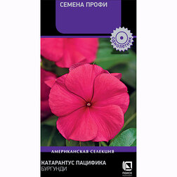 ����  ���������� �������� �������� (������ �����), ������ �� 45 ���