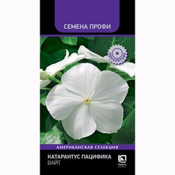 ����  ���������� �������� ���� (������ �����), ������ �� 45 ���