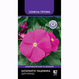 ����  ���������� �������� ��� ����� (������ �����), ������ �� 45 ���