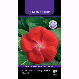 ����  ���������� �������� ����� (������ �����), ������ �� 45 ���