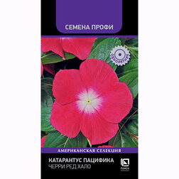 ����  ���������� �������� ����� ��� ���� (������ �����), ������ �� 45 ���