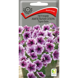 ����  ������� ��������� ����� ����� ����, ������ �� 261 ���