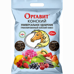 ����  ������� ����� 10�� �������, ������ �� 1139 ���