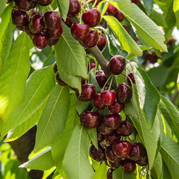 ����  ������� ������������� ������� (������ ����� �����������) (� �����) (�������������), ������ �� 864 ���