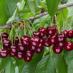 ����  ������� ������������� ������ (������ ����� �����������) (� �����) (�������������), ������ �� 864 ���