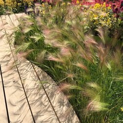 ����  ������ ���������, ������ �� 510 ���