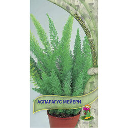 ����  ��������� ������, ������ �� 225 ���