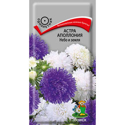 ����  ����� ��������� ���� � �����, ������ �� 26 ���