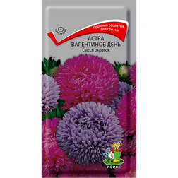 ����  ����� ���������� ���� ����� �������, ������ �� 63 ���