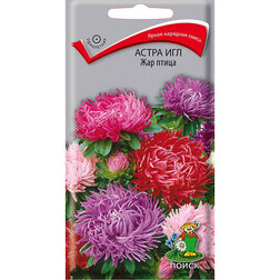 ����  ����� ��� ���-�����, ������ �� 26 ���