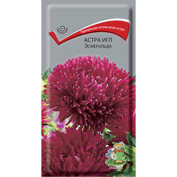 ����  ����� ��� ����������, ������ �� 26 ���